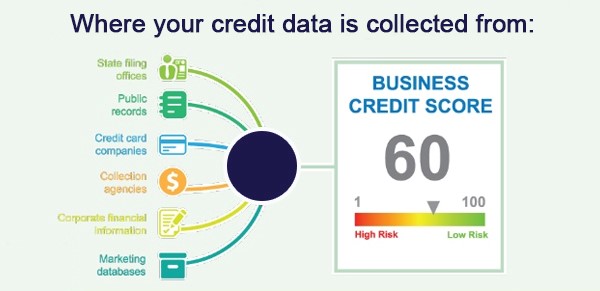 Where your credit data is collected from chart